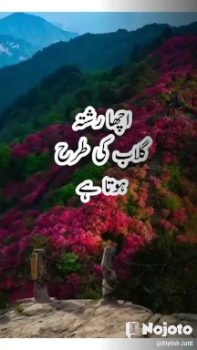 #Acha rishta 👉🥀🥀 ke tarhn hota hai#urdu poetry 2022 ISHQPARAST {Official} Mr Ismail Khan Arfa Mr. Khan POOJA UDESHI