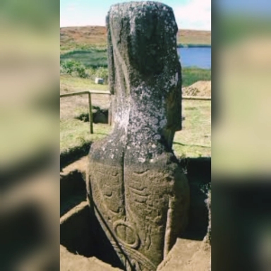 Yes, the Easter Island statues have full bodies.

#History #Architecture #Easter #Knowledge #mystery #Culture #nojoenglish