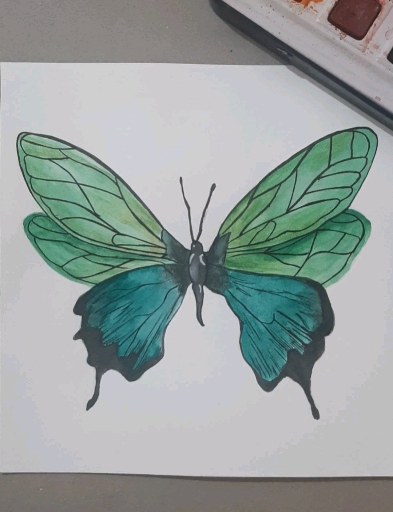 #watercolour 
#Butterfly 
#nojotoart 
#nojotoartwork 
#Painting