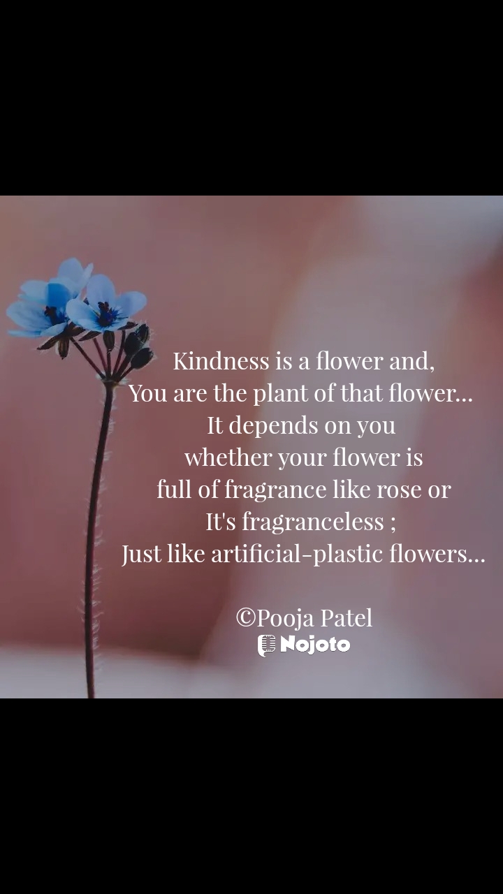 #kindness #nojotoenglish #poojapatelpoetry #affableworship